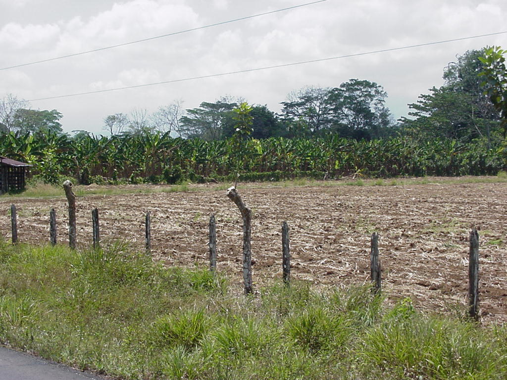 Costa Rica Project Photo